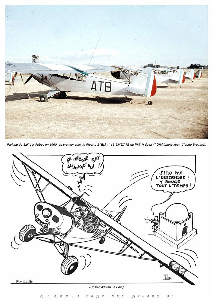 Piper L-21B_000034.jpg